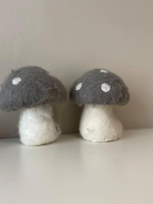 La Taniere De L'Ours - L'Alcove De L'Ours - Chambre Cosy 2 Pers ดอมแบค-ลา-วิลล์ ภายนอก รูปภาพ